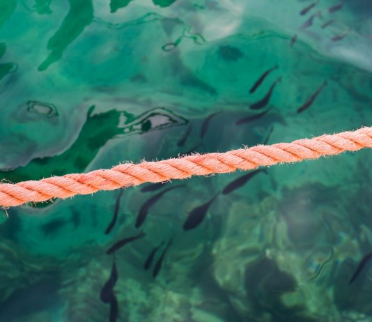 Bitcoin Breaking this One Level May Send Out Crypto Market into Full-Out Rally
