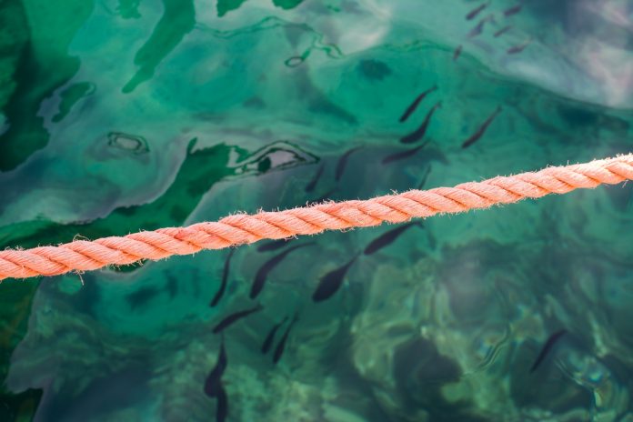 Bitcoin Breaking this One Level May Send Out Crypto Market into Full-Out Rally