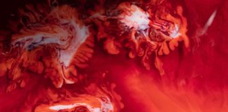 This Technical Index Projections a Bloody Week for the Cryptocurrency Market This Technical Index Projections a Bloody Week for the Cryptocurrency Market