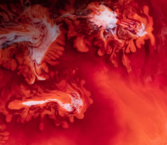This Technical Index Projections a Bloody Week for the Cryptocurrency Market