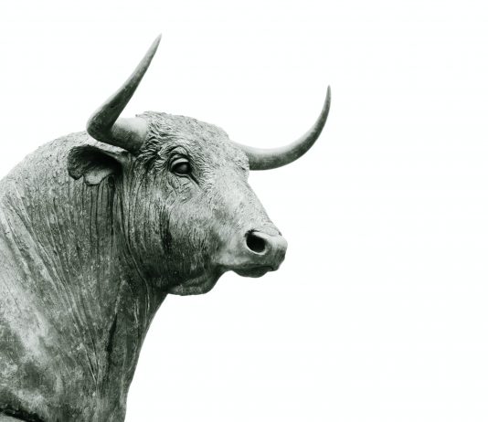Sign Reveals Bitcoin is on the Verge of a Historical Bull Rally