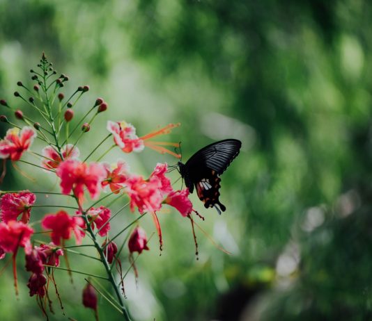 Crypto Tidbits: Bitcoin Strikes $9ks, a16 z Raises $500 M Crypto Fund, Ethereum 2.0 Nears