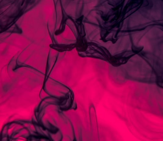 Bitcoin Flashes Tomb Bearish Divergence Simply as Organizations Turn Long