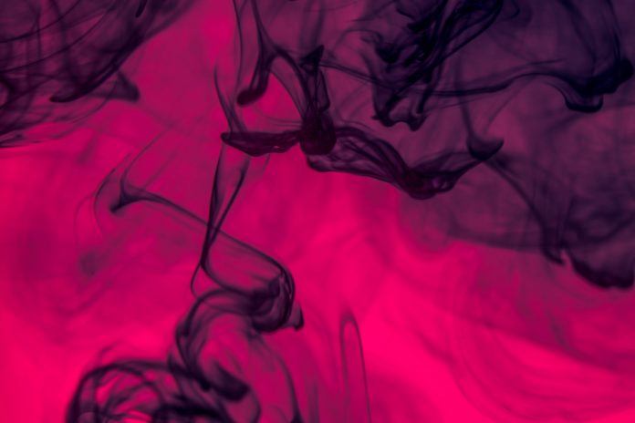 Bitcoin Flashes Tomb Bearish Divergence Simply as Organizations Turn Long