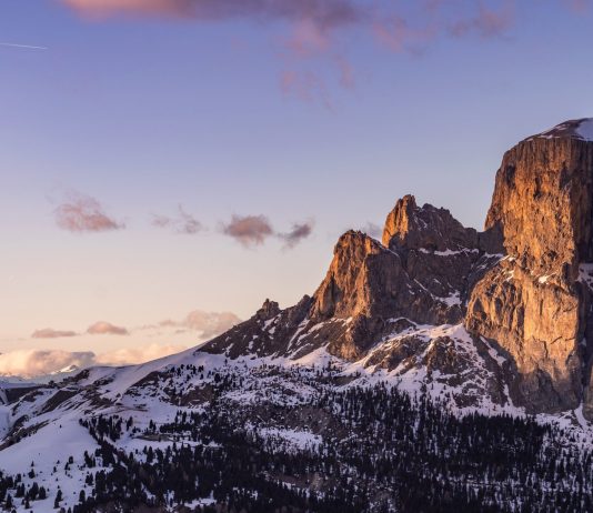 “Beautiful” Pattern: Bitcoin Will See a Colossal Rise After BTC Halving