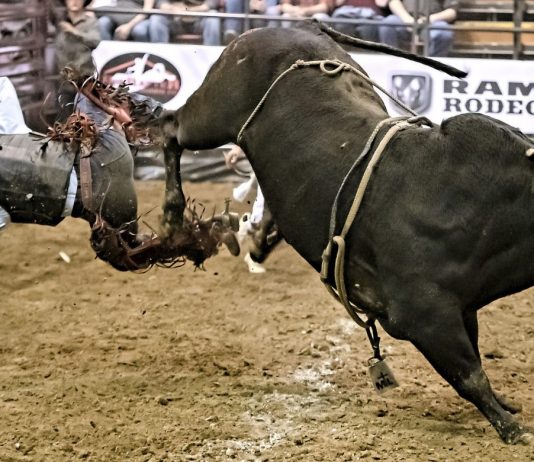 Excellent’s Fractal Demonstrates how Impressive the Next Crypto Booming Market Can Be