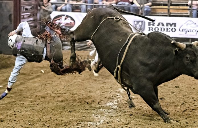 Excellent’s Fractal Demonstrates how Impressive the Next Crypto Booming Market Can Be