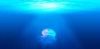 Bitcoin Rises Near $10,000, Damaging $20 M In BitMEX Short Positions