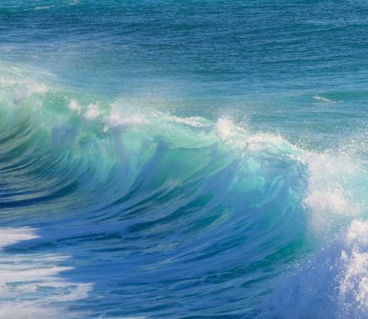 Crypto Expert Emphasizes Last Ever Bitcoin Dip Utilizing Elliott Wave Theory