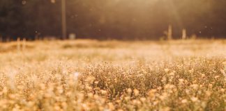 CME Might Quickly Introduce Ethereum Futures which’s Big for ETH: Expert