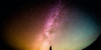 Leading Crypto Chainlink to Enter Into Cost “Orbit” Ought To $4 Cost Area Hold