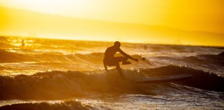Worry of Altcoin Drop Hasn’t Stopped Ethereum and Crypto Whales From Accumulating