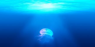 Argent Launches Out of Beta to Bring Ethereum DeFi to the Masses