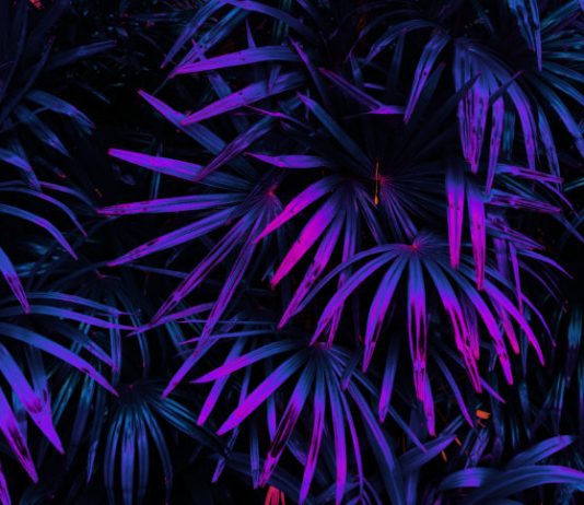 Crypto Tidbits: Satoshi Isn’t Discarding His Bitcoin, China ‘Restrictions’ Cryptocurrency Mining