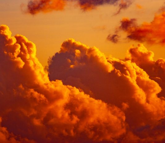 Why Experts Anticipate a Much Deeper Drop After Bitcoin Simply Crashed Listed Below $9,000