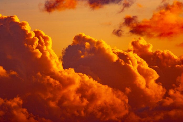 Why Experts Anticipate a Much Deeper Drop After Bitcoin Simply Crashed Listed Below $9,000