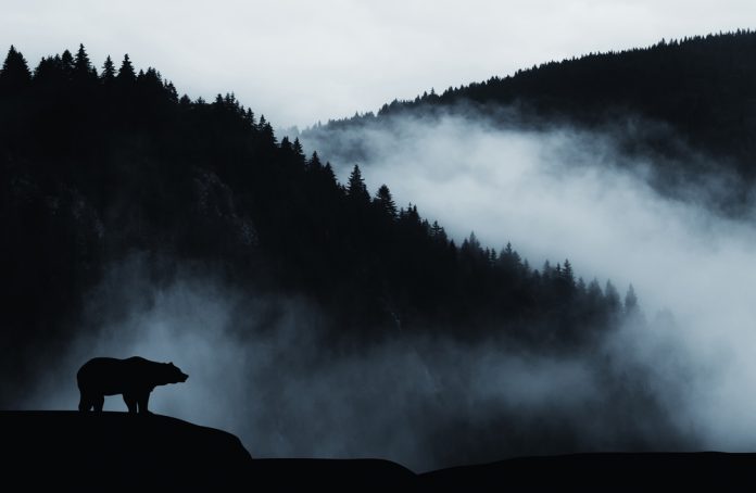 Bitcoin Might Validate Current Decrease as a “Substantial Bear Trap” if It Recovers $9,200