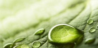 Millions Upon Countless BitMEX Shorts Liquidated as Bitcoin Rises to $9,600