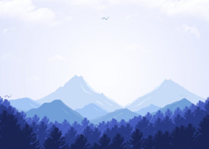 ERC-20 Tokens Now Comprise Practically 50% of the Overall Worth Kept on Ethereum