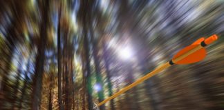 Crypto Expert on Bitcoin Collapse: Never Ever Understimate The Power of TD Sequential