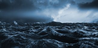 Book Wyckoff Analysis Reveals Bitcoin Will See a Harsh Drop to $7,000 s