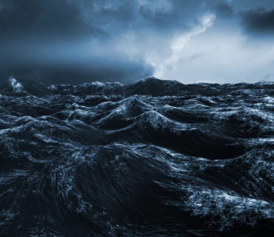Book Wyckoff Analysis Reveals Bitcoin Will See a Harsh Drop to $7,000 s