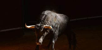 This Ethereum Liquidity Pattern Recommends ETH Bulls Are Extremely Strong