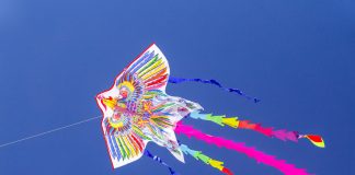 A Secret Pattern is Forming For Ripple (XRP) and a Swift Rally Might Happen