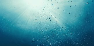 Bitcoin Whales Are Collecting Once Again; Bull Rally Incoming?