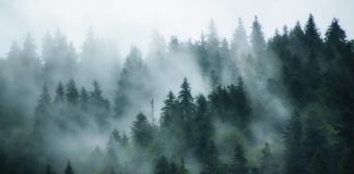 Financier: Ethereum DeFi Might Pump as Financiers Dispose “Ghost-Town” Coins