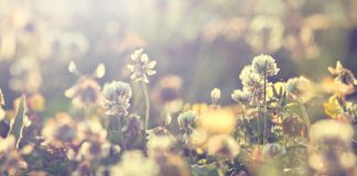 U.S. Congressman Davidson States Bitcoin Is “Needed to Protect Flexibility”