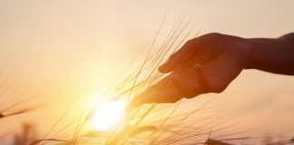 An Eerie Bitcoin Fractal Reveals It’s Just a Matter of Time Prior To $15 k An Eerie Bitcoin Fractal Reveals It’s Just a Matter of Time Prior To $15 k