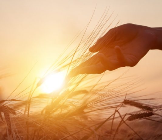 An Eerie Bitcoin Fractal Reveals It’s Just a Matter of Time Prior To $15 k An Eerie Bitcoin Fractal Reveals It’s Just a Matter of Time Prior To $15 k