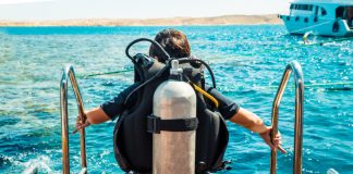 This Book Circulation Expert States Bitcoin Might Dive Under $7,000