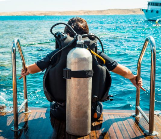 This Book Circulation Expert States Bitcoin Might Dive Under $7,000