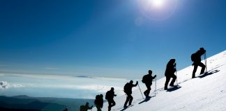 Important Ethereum On-Chain Data Recommends a Leading For Altcoins is Forming