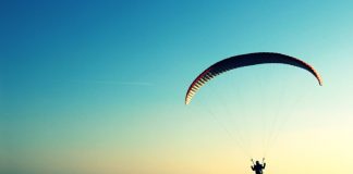 These Altcoins Set a New ATH While Bitcoin And Ethereum Tank