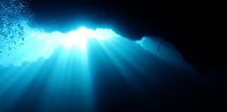 Cardano Has More Space to Increase Based Upon These On-Chain Metrics