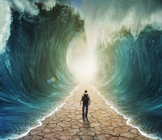 Chainlink Avoids Main Dump Following New Partnership Offers