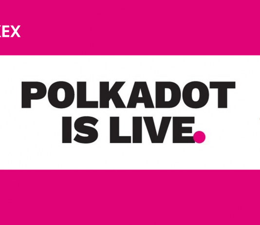 Decentralized Web Task Polkadot’s DOT Tokens Now Noted on OKEx