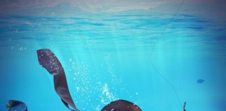 How Crypto Market Worry And Greed Be Utilized Successfully As A Trade Trigger