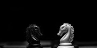 Why One Popular Chess Grandmaster is Bullish on Bitcoin Adoption