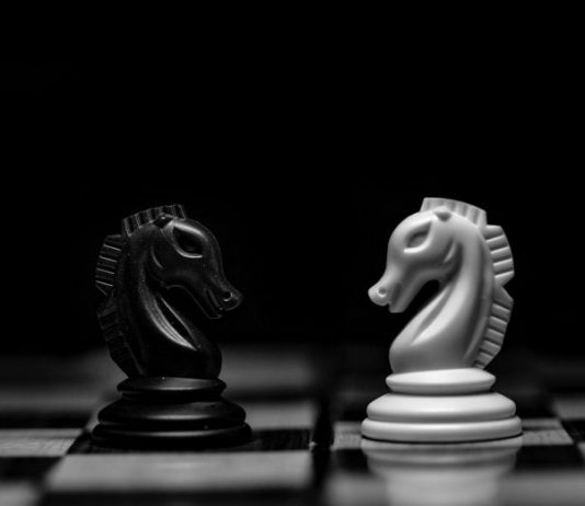 Why One Popular Chess Grandmaster is Bullish on Bitcoin Adoption