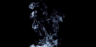 Why Bitcoin is “Developing Steam” for a Push Greater Regardless Of Slowing Momentum