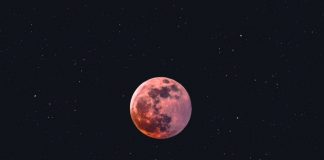 Experts Now Anticipate XRP to See a “Moonshot” Rally After Breaking Important Level