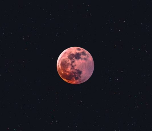Experts Now Anticipate XRP to See a “Moonshot” Rally After Breaking Important Level