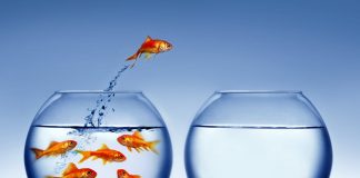 Next DeFi Boom to Come Out of “Ineffective” Cryptocurrencies: Messari Next DeFi Boom to Come Out of “Ineffective” Cryptocurrencies: Messari