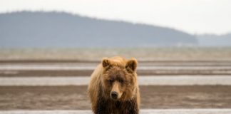 Institutional Traders on the CME are Still Bearish on Bitcoin; Here’s Why