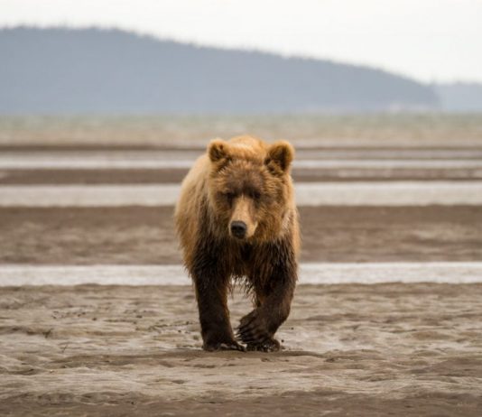 Institutional Traders on the CME are Still Bearish on Bitcoin; Here’s Why