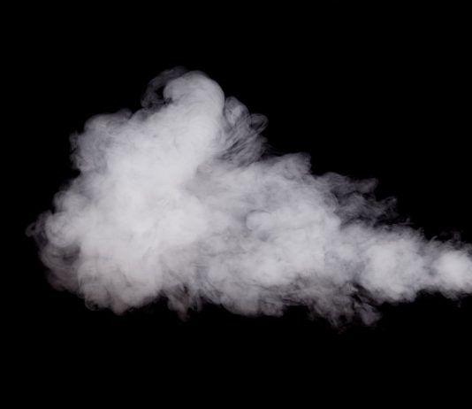 Cardano Continues Structure Steam by Concluding Job Renovare